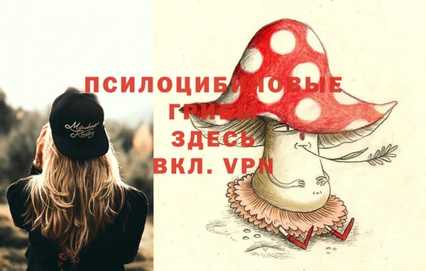 СК Няндома