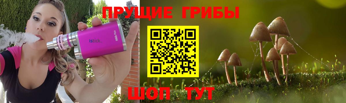 Аксай  Галлюциногенные грибы Psilocybe  Вход с VPN 